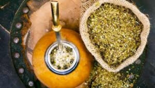 yerba mate